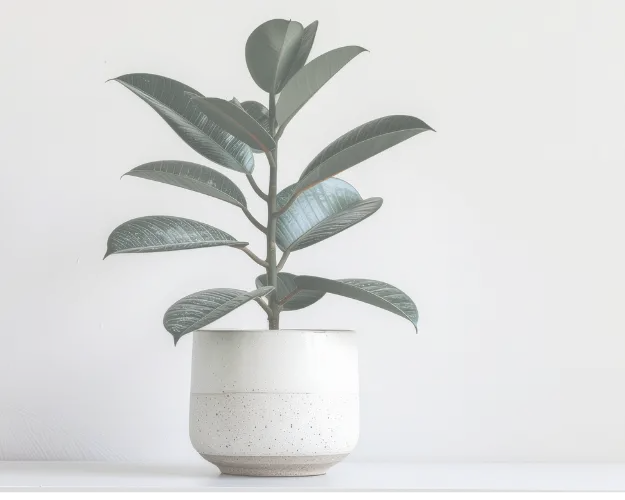 individual therapy services in NV