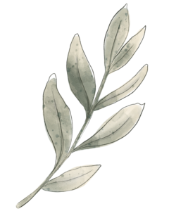 green leaves