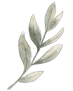 green leaves
